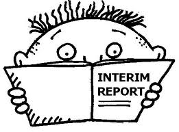 interim-report